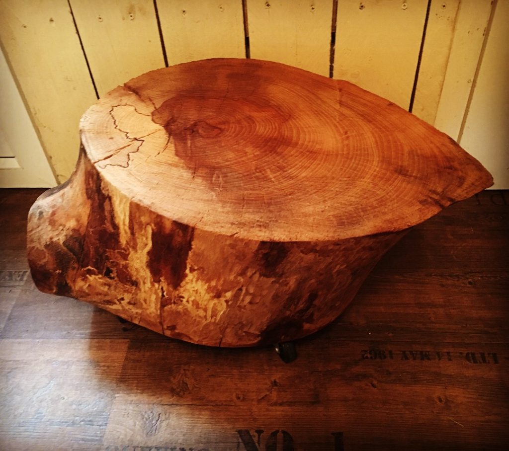 Baumstumpf als Beistelltisch